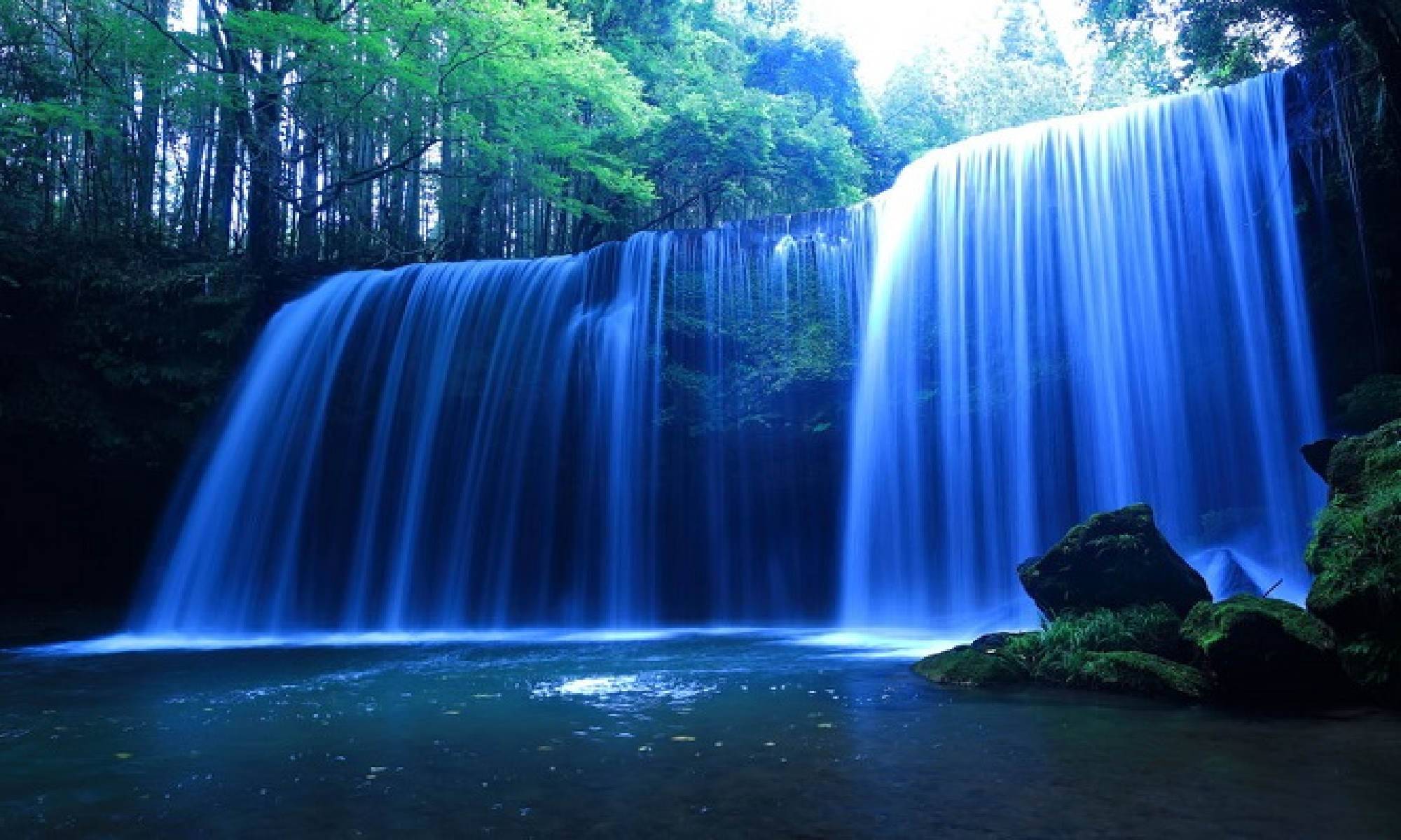 まさかの悪性リンパ腫になった仰天diary